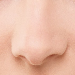 鼻のイメージ写真